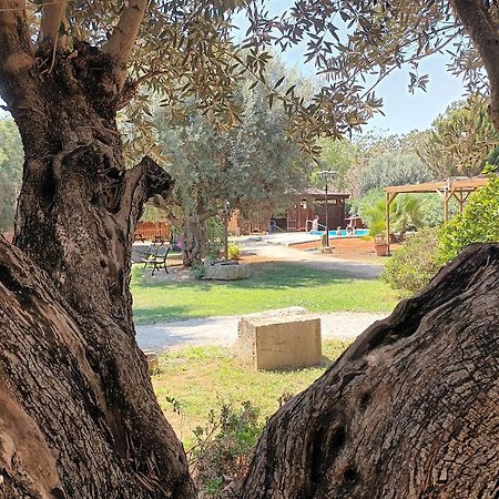 Villa Entre Viejos Olivos Benicolet Esterno foto