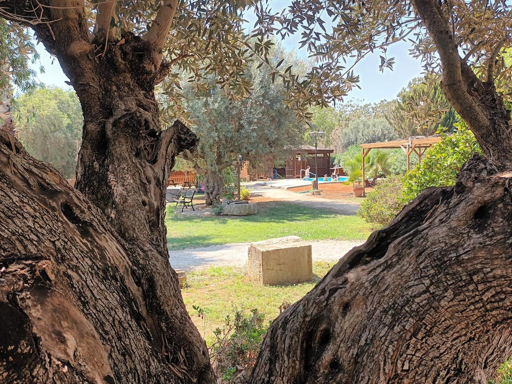 Villa Entre Viejos Olivos Benicolet Esterno foto